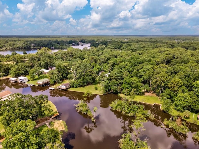 11375 Wacker Dr, Theodore, AL 36582 - drone / aerial view of a heavily wooded area and a large body of water