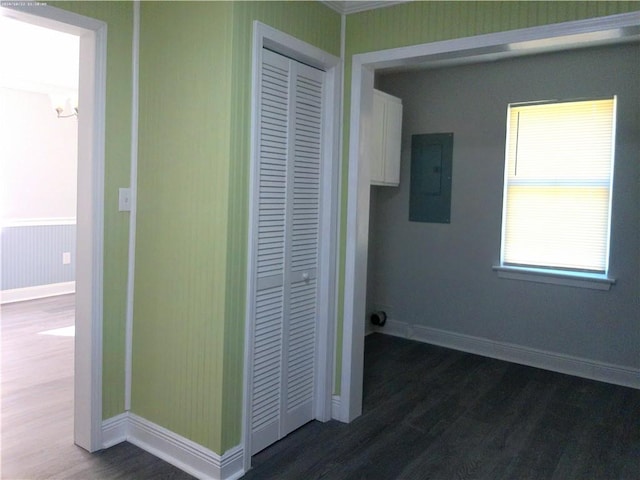 hallway with electric panel and dark hardwood / wood-style flooring