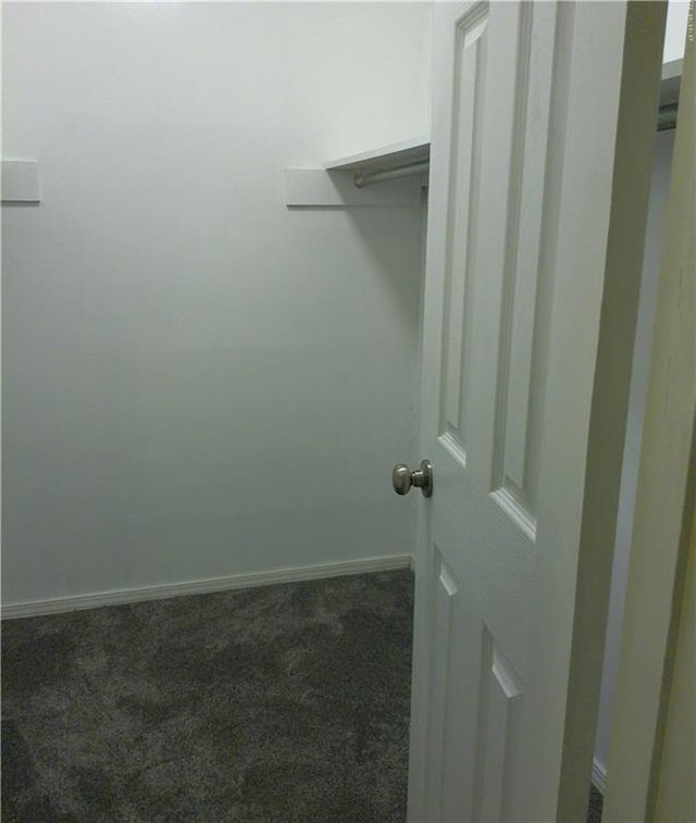 walk in closet featuring dark colored carpet