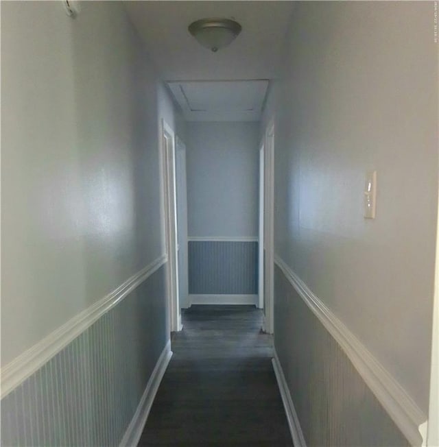 corridor with dark wood-type flooring and wood walls