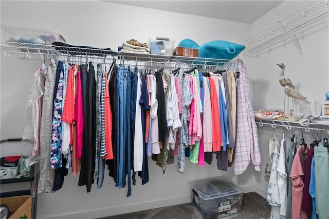 7115 Haleys Way, Theodore, AL 36582 - walk in closet featuring carpet