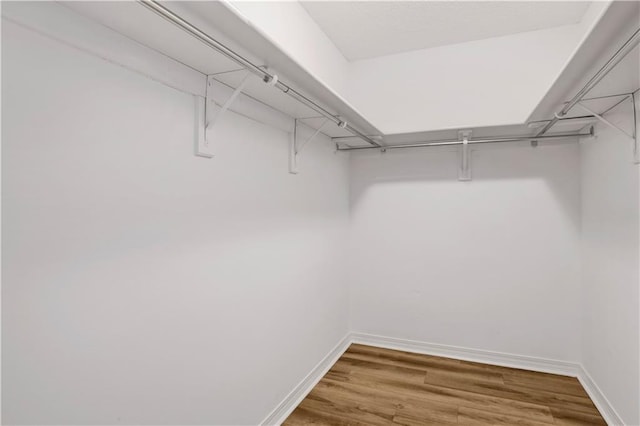 walk in closet with wood finished floors