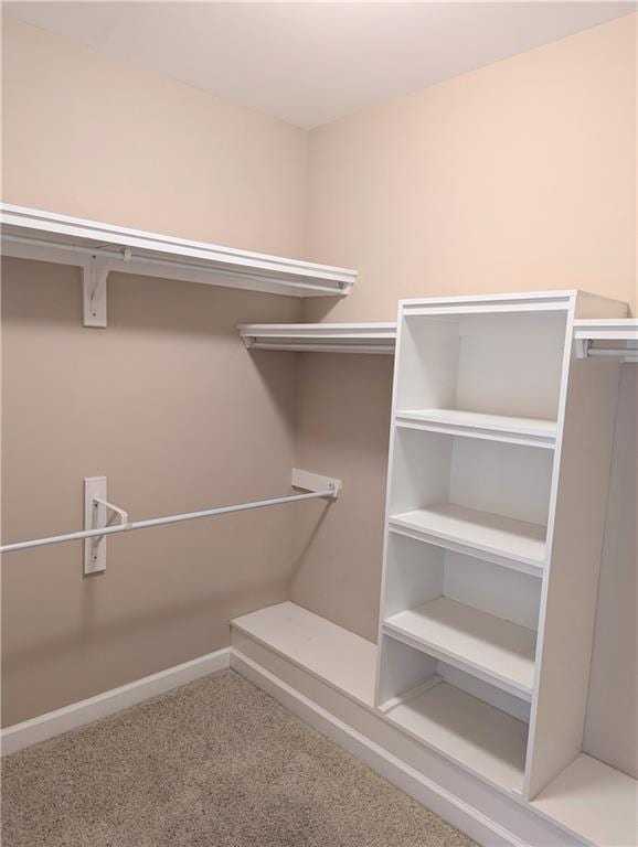 spacious closet featuring carpet flooring