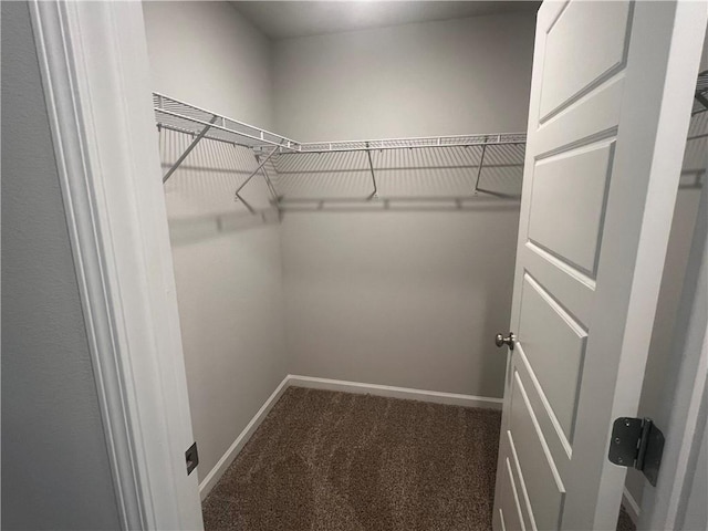 spacious closet with dark colored carpet