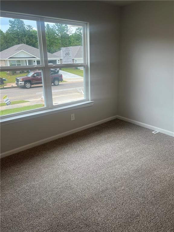 spare room featuring carpet floors and plenty of natural light