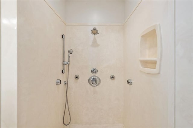 room details featuring a shower