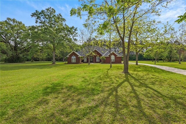 view of front of home featuring a front yard