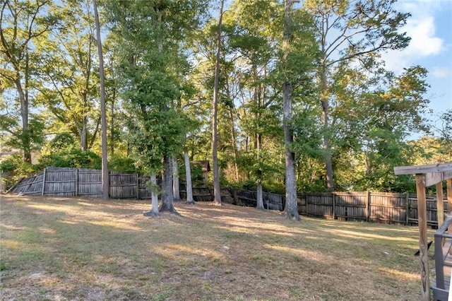 1000 Choctaw Bluff Rd, Mobile, AL 36695 - view of yard