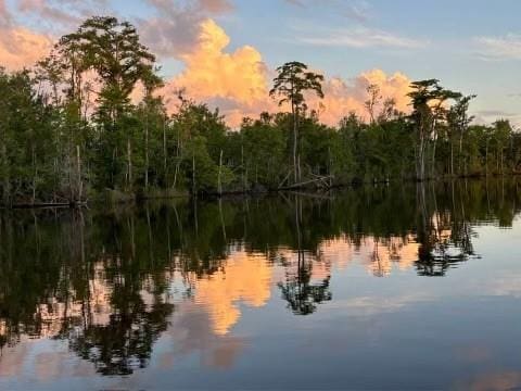 311 Magnolia Ave Unit 54, Satsuma, AL 36572 - water view with a heavily wooded area