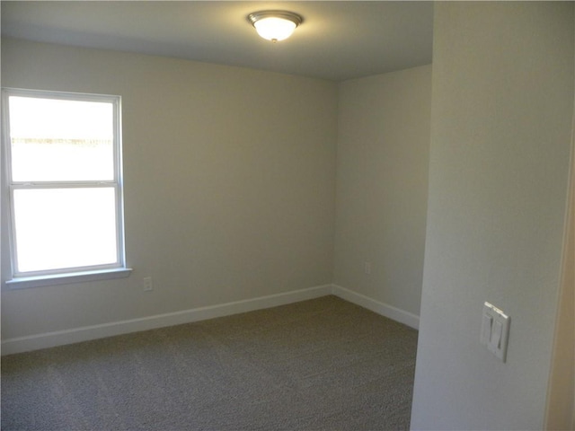 empty room with carpet and a wealth of natural light