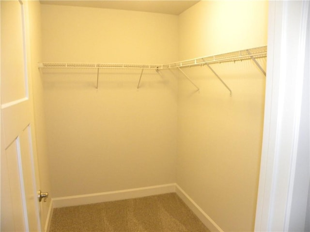 spacious closet featuring carpet flooring