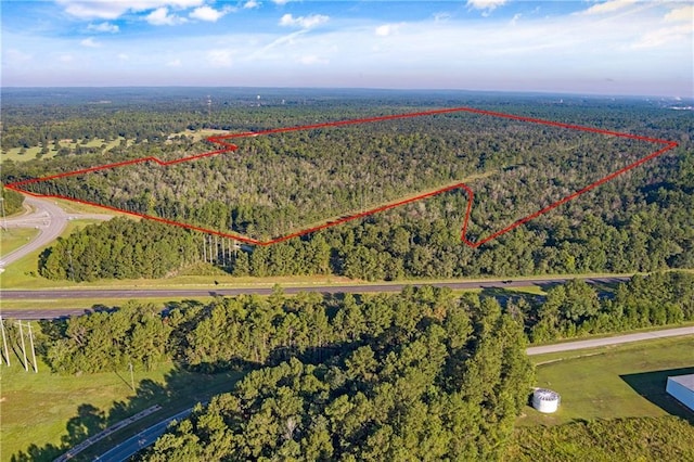 Listing photo 3 for 0 Dead Lake Rd, Creola AL 36525