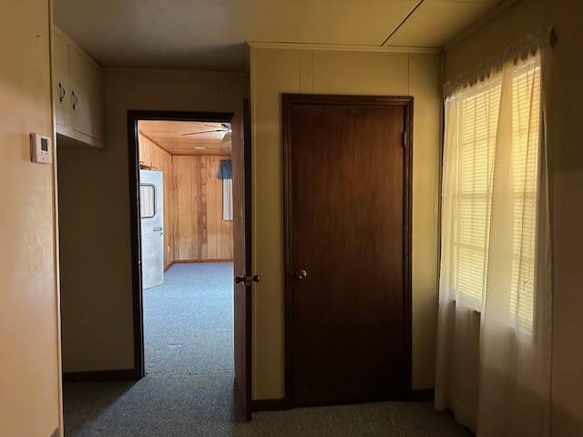 hallway with wood walls and carpet floors