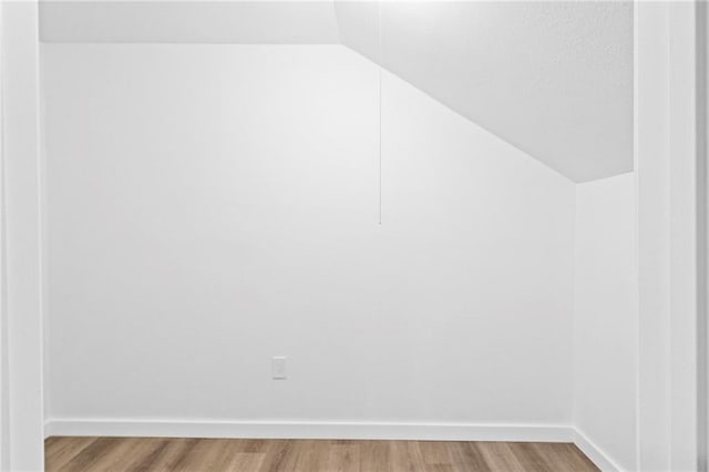 interior space featuring wood-type flooring and vaulted ceiling