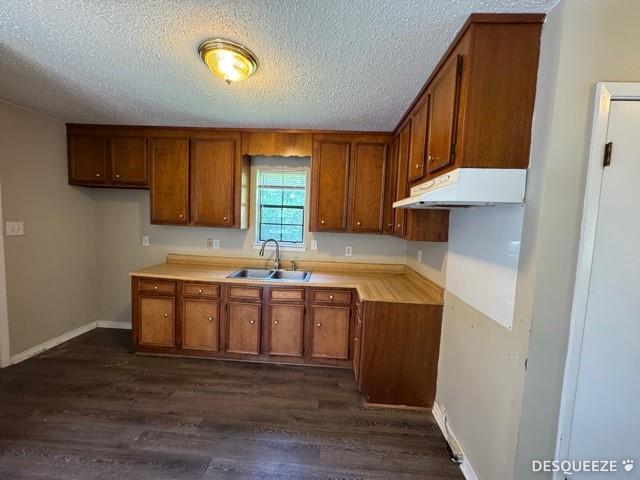 303 Ruben Ave, Saraland, AL 36571 - kitchen featuring under cabinet range hood, a sink, brown cabinetry, dark wood-style flooring, and a textured ceiling
