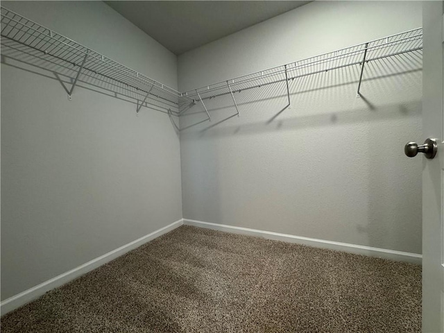 spacious closet with carpet flooring