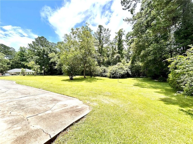 1113 Carre Dr W, Mobile, AL 36618 - view of green lawn with view of wooded area