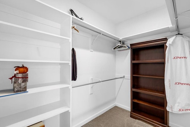 8705 Floyd Crabtree Way, Semmes, AL 36575 - spacious closet with carpet flooring