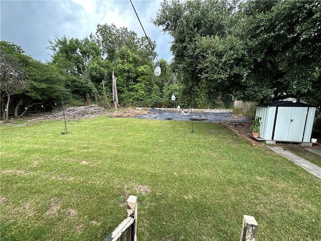 view of yard with a shed