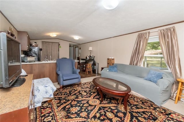 living room featuring lofted ceiling