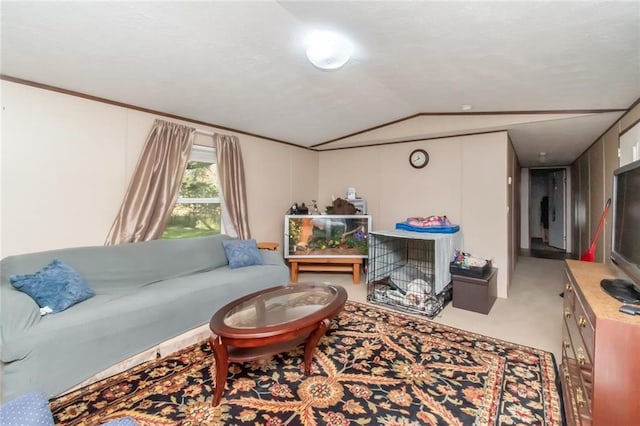 living room with vaulted ceiling