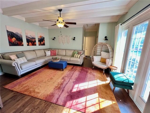 living room with ceiling fan, ornamental molding, wood finished floors, and beam ceiling