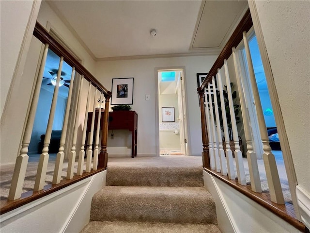 stairs featuring baseboards, ornamental molding, and carpet flooring