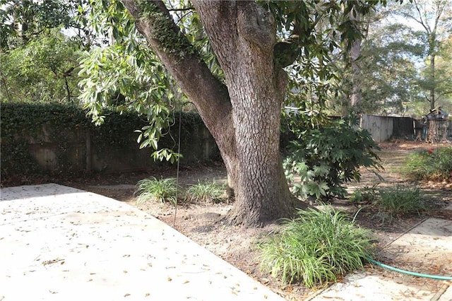 view of yard featuring a patio area