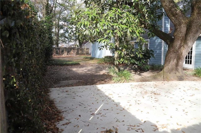 view of yard featuring a patio area