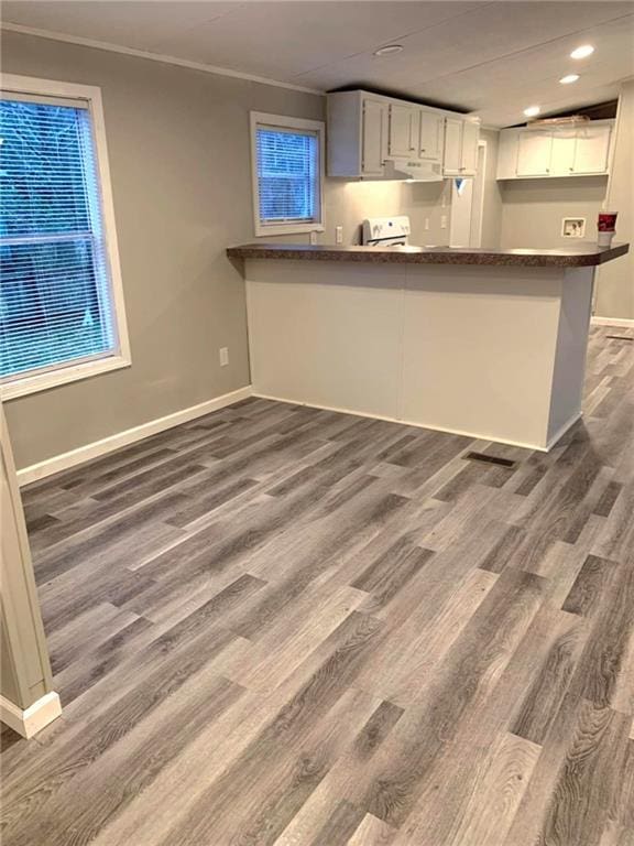 kitchen featuring a peninsula, dark countertops, white cabinets, and dark wood finished floors