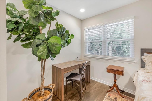 office space featuring hardwood / wood-style floors