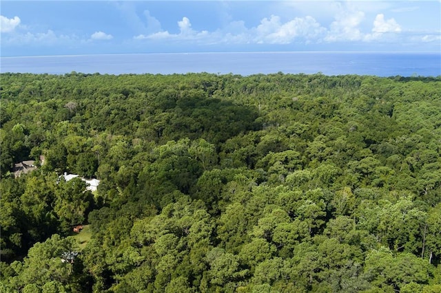 birds eye view of property with a water view and a wooded view