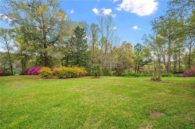 7180 Cannon Ball Cir, Bay Minette, AL 36507 - view of yard