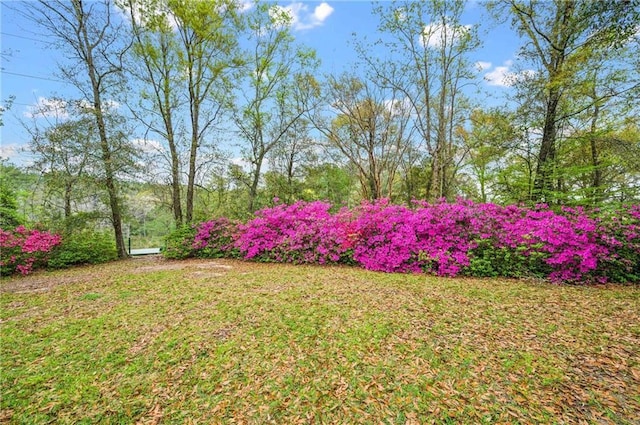 7180 Cannon Ball Cir, Bay Minette, AL 36507 - view of yard
