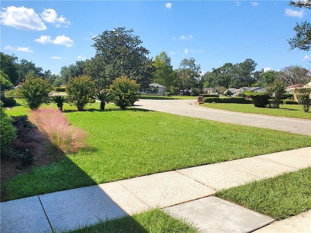 view of yard