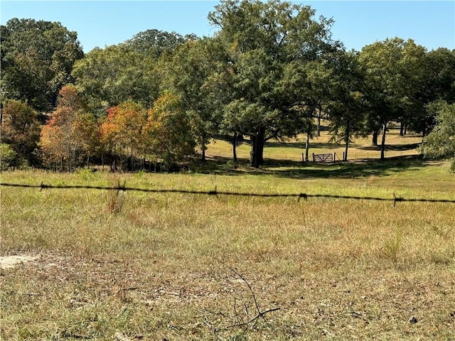 view of landscape with a rural view