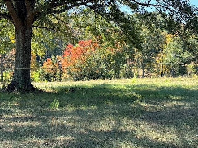 view of yard featuring a forest view