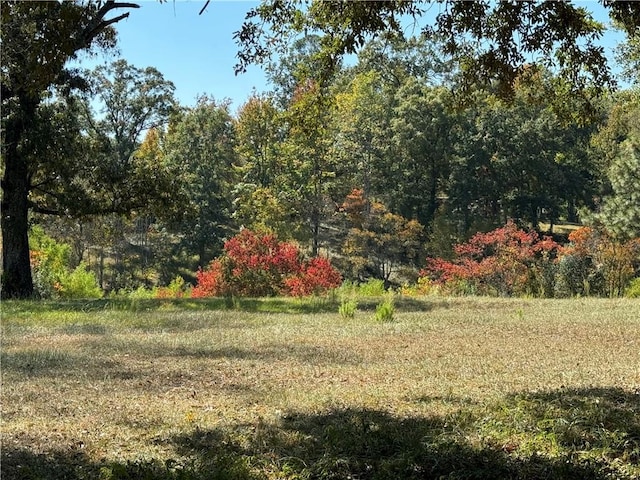 view of yard featuring a view of trees