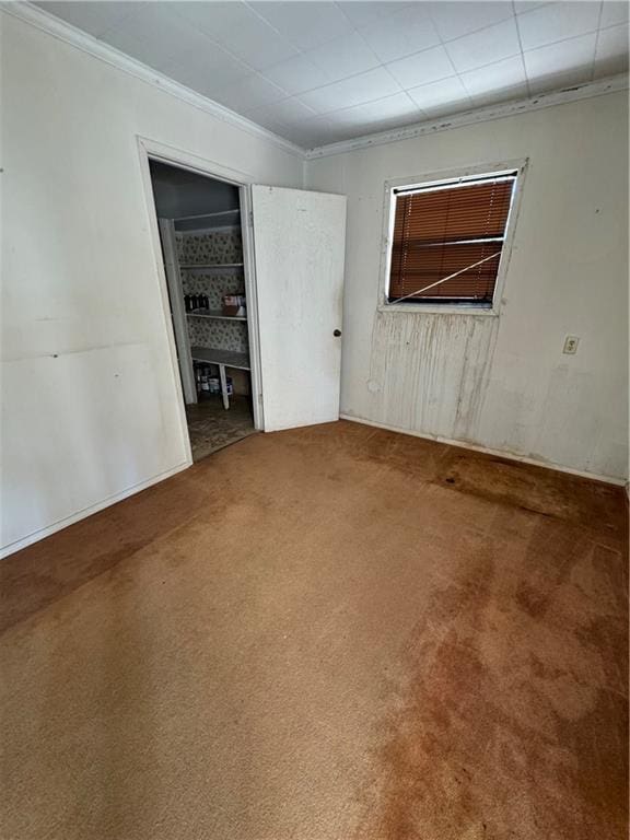 spare room with crown molding and carpet