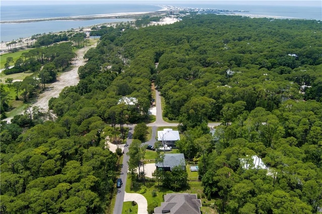 908 Longfellow Pl, Dauphin Island, AL 36528 - view of property location with a heavily wooded area and a large body of water