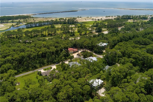 908 Longfellow Pl, Dauphin Island, AL 36528 - view of property location featuring a large body of water and a forest