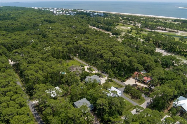 908 Longfellow Pl, Dauphin Island, AL 36528 - view of property location featuring a heavily wooded area and a nearby body of water