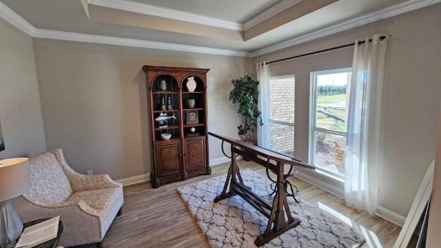 home office featuring hardwood / wood-style flooring, a raised ceiling, and crown molding