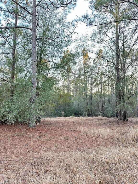 0 Lake Haven Dr E, Semmes AL, 36575 land for sale