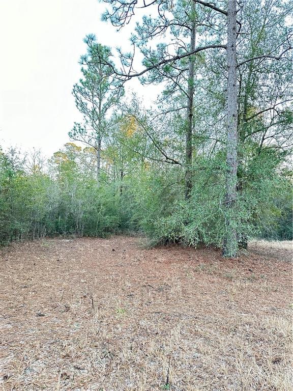 Listing photo 2 for 0 Lake Haven Dr E, Semmes AL 36575