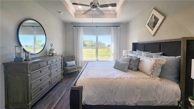 bedroom featuring dark wood-type flooring, ceiling fan, ornamental molding, and a tray ceiling