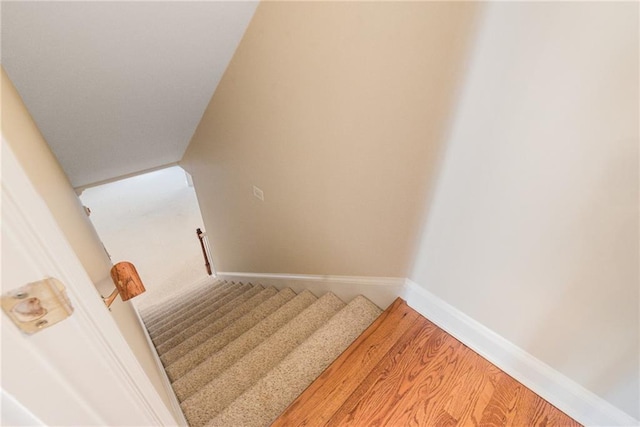 stairs featuring carpet flooring