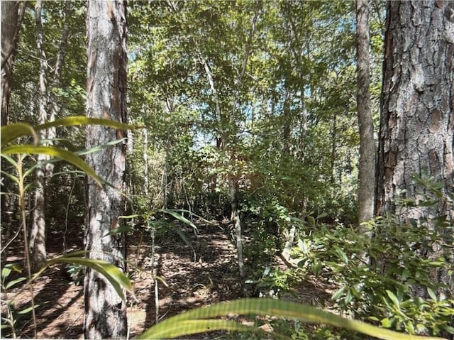 0 Royal River Dr, Coden AL, 36523 land for sale