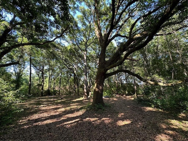 10495 Canyon Dr, Fairhope, AL 36532