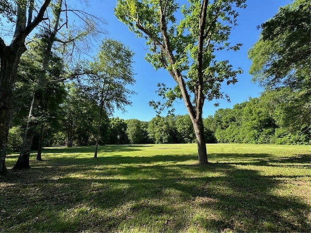10495 Canyon Dr, Fairhope, AL 36532
